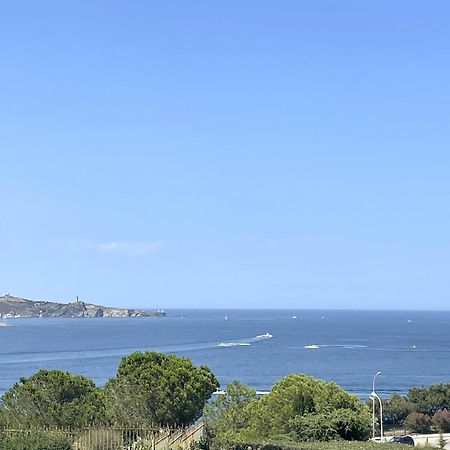 Appartement T3 Climatise Avec Terrasse - Proche Crique, Parking Prive, Ideal Famille - Fr-1-309-209 Banyuls-sur-Mer Eksteriør billede